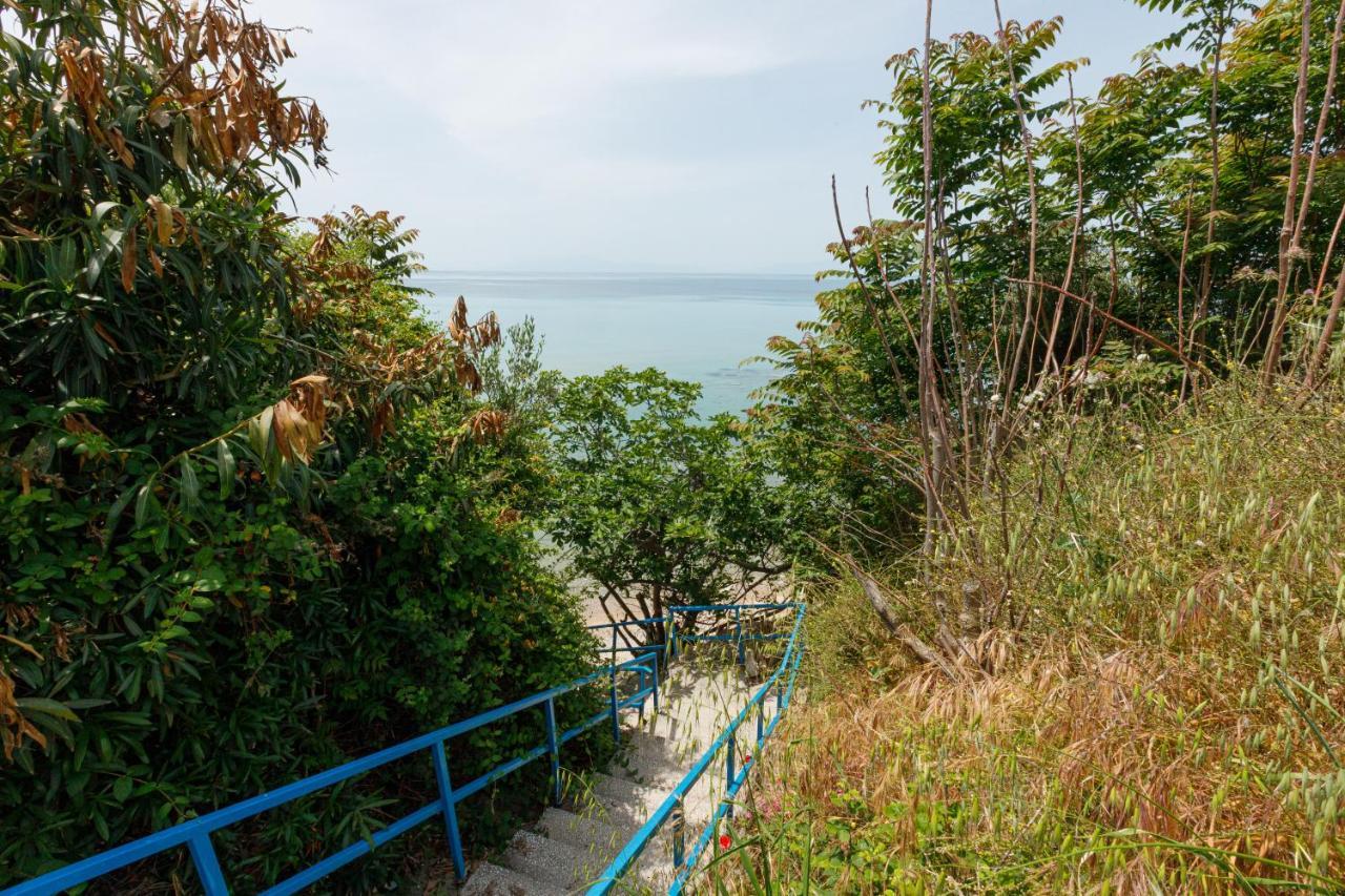 Lofos Apartments In Vergia Halkidiki Sozopoli Ngoại thất bức ảnh